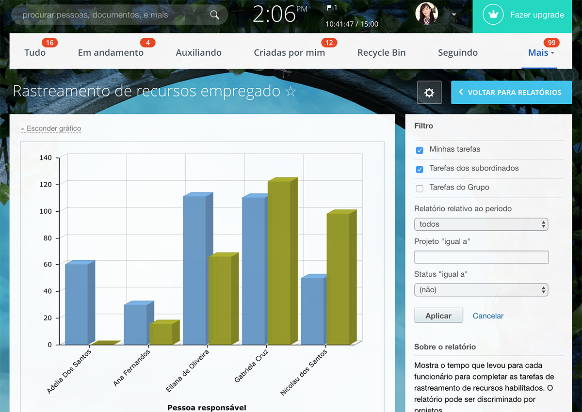 Gerenciamento de recursos do projeto