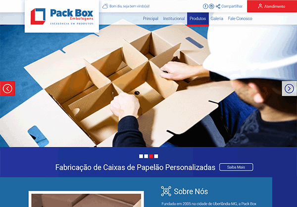 Website Pack Box